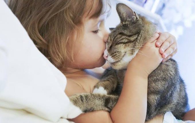 أهمية الرفق بالحيوان